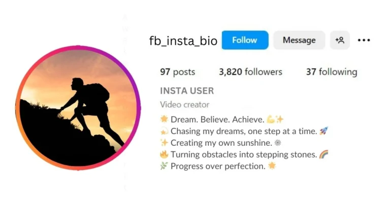 Stylish Bio For Instagram Motivation is visible in this image.