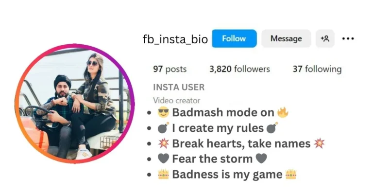 This image of About Best Badmashi Bio For Instagram