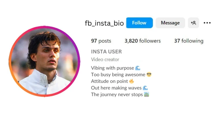 This image About of Instagram Attractive Bio for Boy.